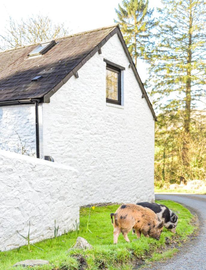 The Old Milking Parlour Villa Llandovery Exterior photo